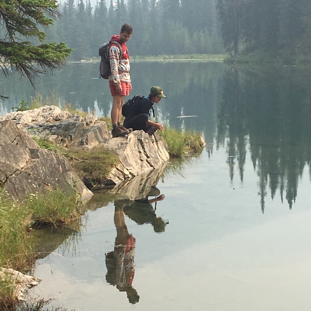 Meet your Posher, Amelia